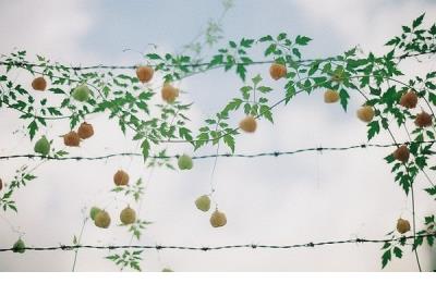 心情是晴朗的，每一天都是晴天 雨天再见