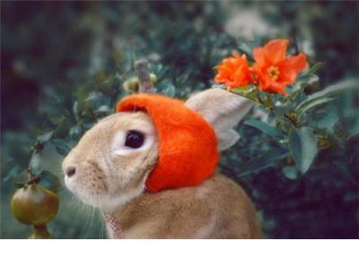 很累很累的经典说说3 2020经典说说配图